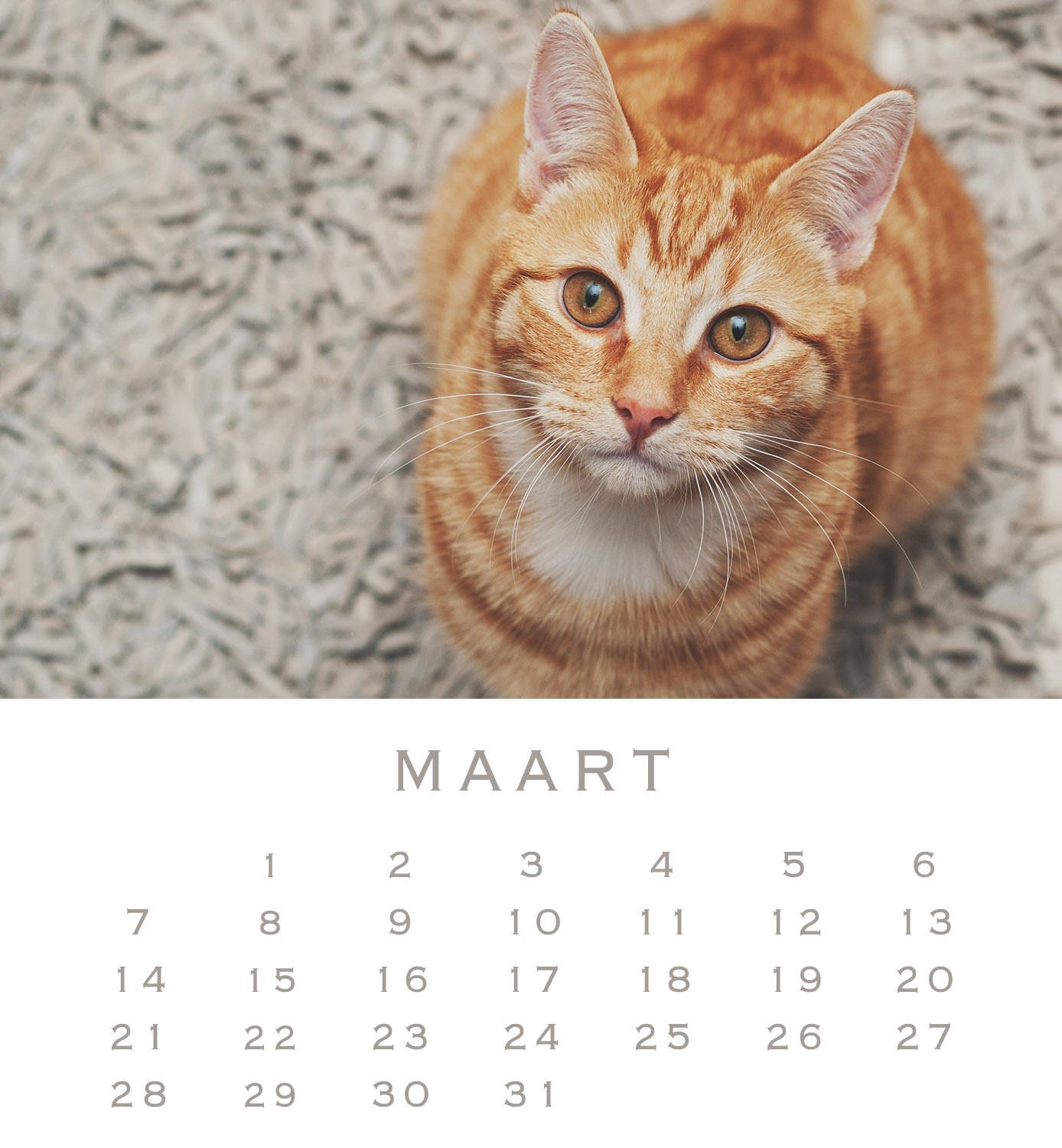 Jofabi Foto » De nieuwe jaarkalender uit!